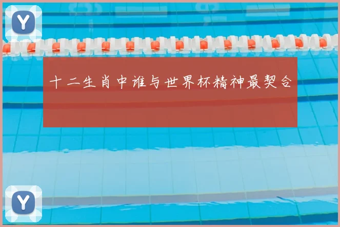 十二生肖中谁与世界杯精神最契合