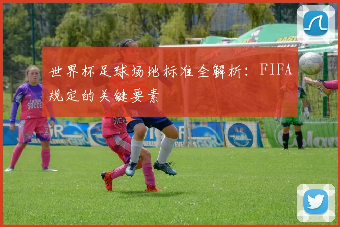 世界杯足球场地标准全解析：FIFA规定的关键要素