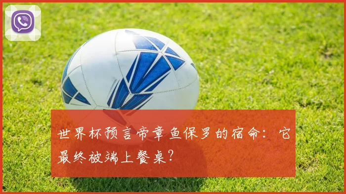 世界杯预言帝章鱼保罗的宿命：它最终被端上餐桌？