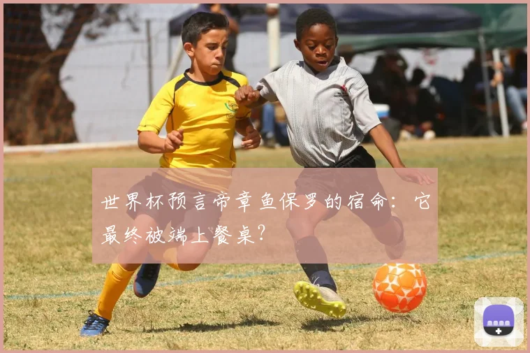 世界杯预言帝章鱼保罗的宿命：它最终被端上餐桌？