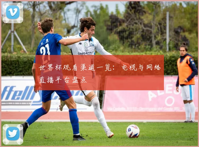 世界杯观看渠道一览:电视与网络直播平台盘点