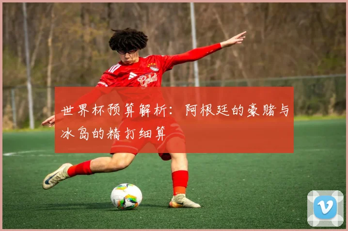 世界杯预算解析：阿根廷的豪赌与冰岛的精打细算