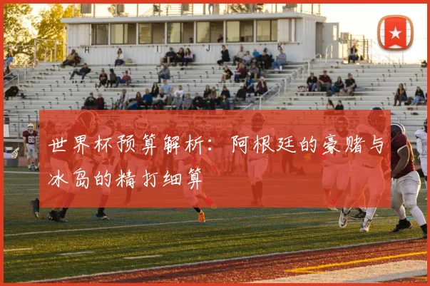 世界杯预算解析：阿根廷的豪赌与冰岛的精打细算
