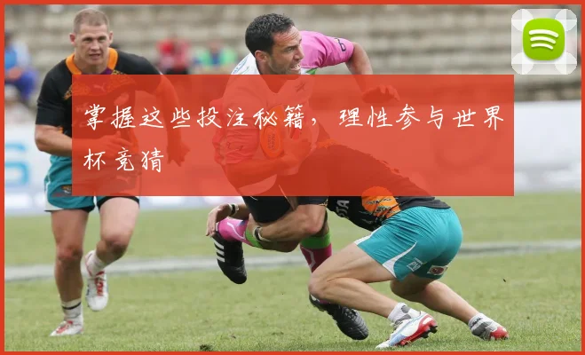 掌握这些投注秘籍,理性参与世界杯竞猜