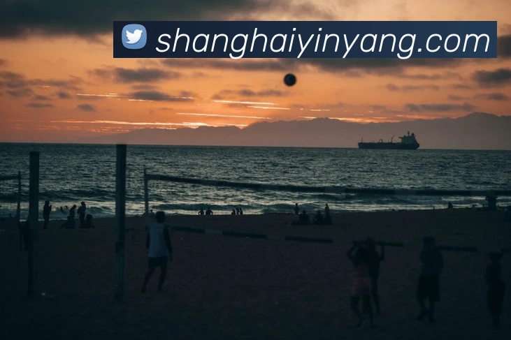 三亿体育发展历程